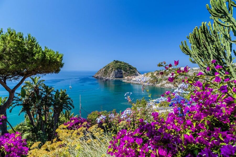 From Naples: Ischia Day Trip with Ferry Tickets and Lunch - Key Points to Know Before You Go