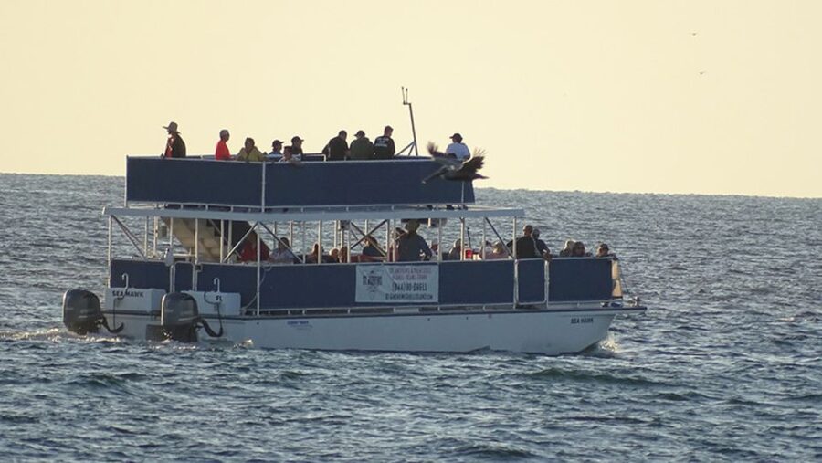 From Panama City, FL: Shell Island Ferry - Is the Shell Island Ferry Worth Booking?