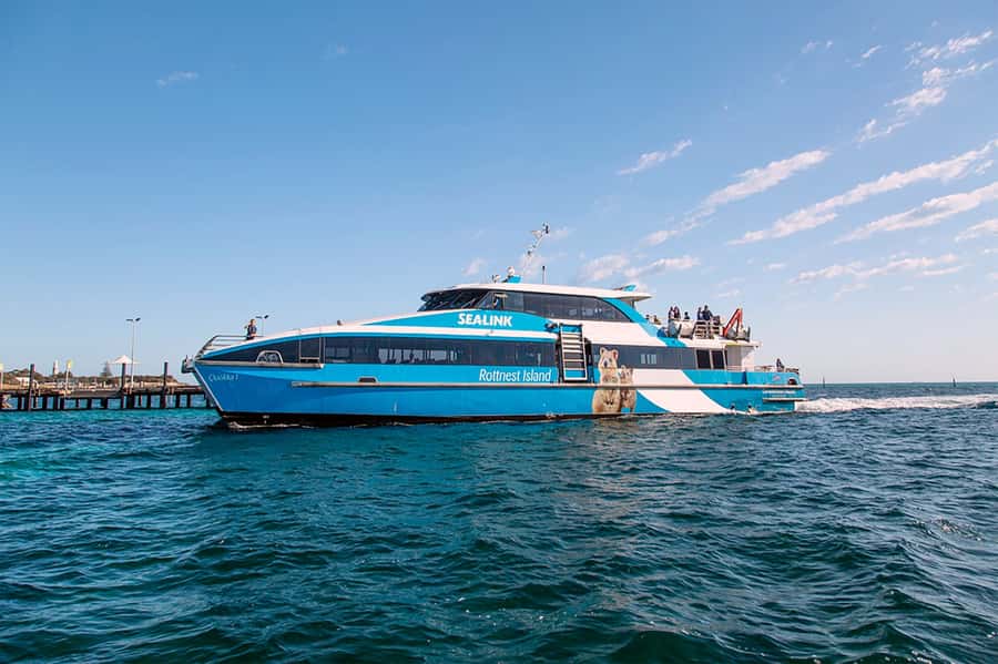 From Perth or Fremantle: Rottnest Island Ferry and Bus Tour - Quokkas, beaches, and your free time