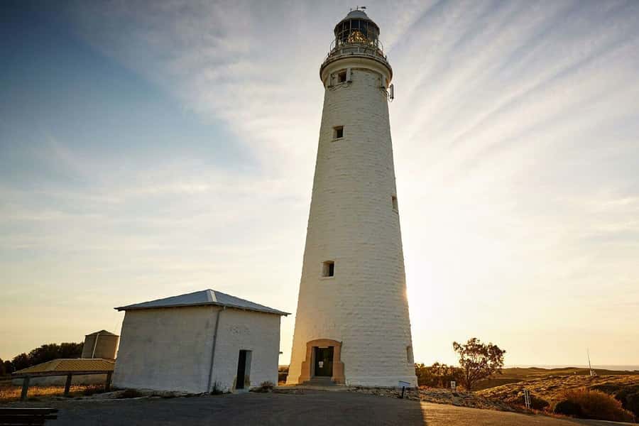 From Perth or Fremantle: Rottnest Island Ferry and Bus Tour - Ferry comfort, timing, and small practical snags