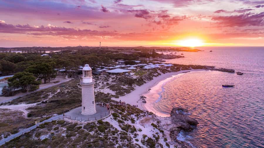 From Perth: Rottnest Island Ferry & Bus Day Tour - Key points to know before booking