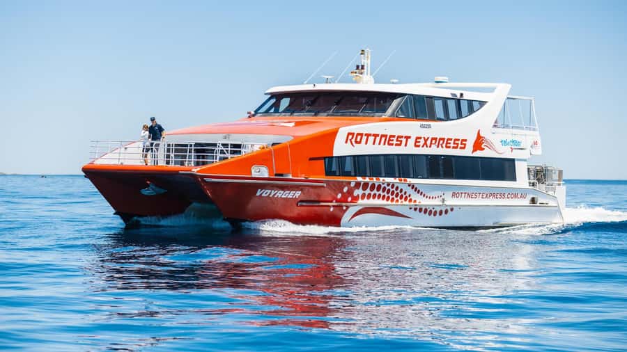 From Perth: Rottnest Island Ferry & Bus Day Tour - The 90-minute coach circuit