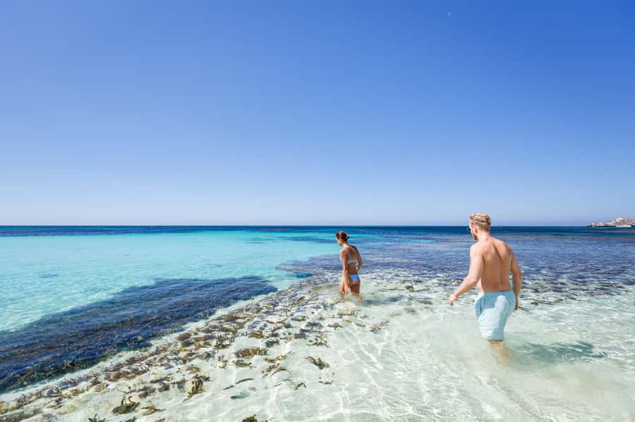 From Perth: Rottnest Island Ferry & Bus Day Tour - Starting at Barrack Street Jetty in Perth