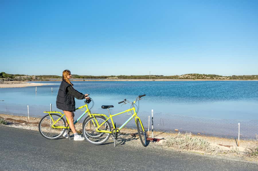 From Perth: Rottnest Island Full-Day Bike and Ferry Trip - Key Points Before You Book