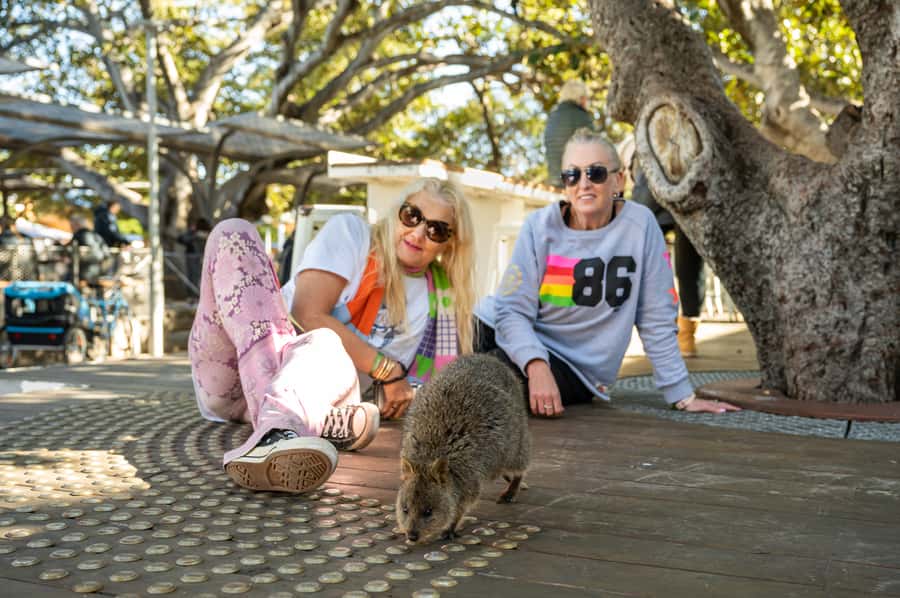 From Perth: Rottnest Island Full-Day Bike and Ferry Trip - How Much Value Do You Get for $84?