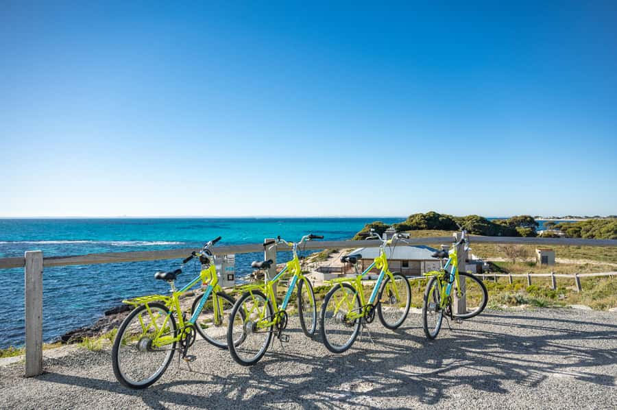 From Perth: Rottnest Island Full-Day Bike and Ferry Trip - Who Should Book This Bike Trip?