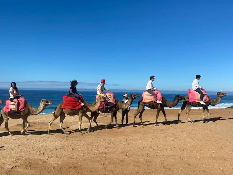 From Seville: 2, 3, or 4-Day Morocco Trip with Ferry & Guide - Choosing the 2-day Tangier plan