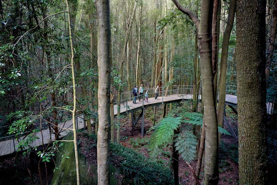 From Sydney: Blue Mountains, Scenic World, Zoo, & Ferry Ride - Key points at a glance