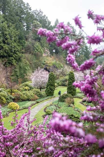 From Vancouver: Victoria, BC Ferry, Butchart Gardens Tour - Butchart Gardens in a focused 75 minutes