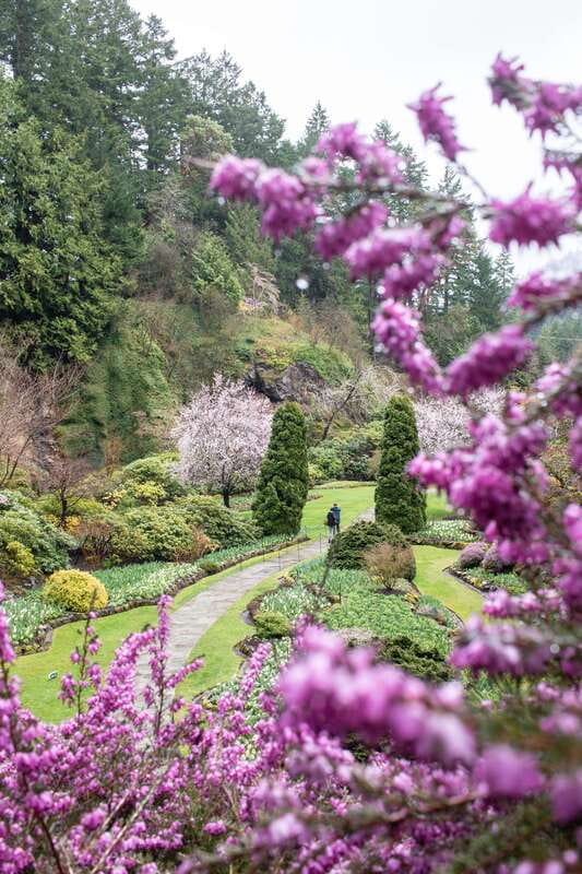 From Vancouver: Victoria, BC Ferry, Butchart Gardens Tour - The return ferry and coach ride