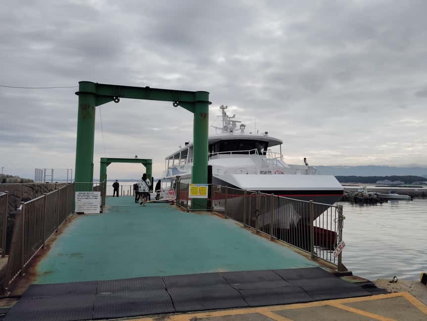 Fukuoka: Cat Island, Ainoshima Guided Tour with Ferry Ride - What the guide adds to the visit