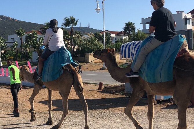 Full day Tangier Tour from Cruise or ferry from tarifa - The Caves of Hercules and their old legend