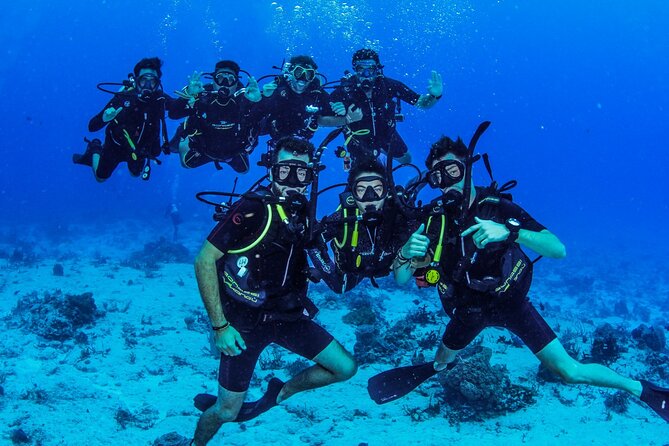 FunDiving in Cozumel - By Ferry - 2 Tanks in the wonderful Caribbean sea - The second site adds variety