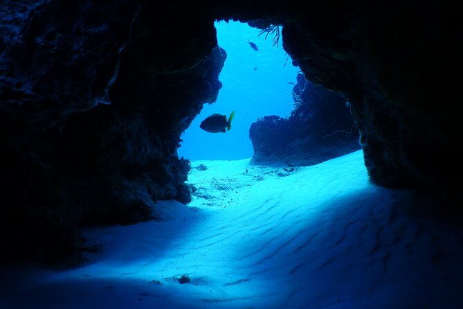 FunDiving in Cozumel - By Ferry - 2 Tanks in the wonderful Caribbean sea - Who will enjoy this most