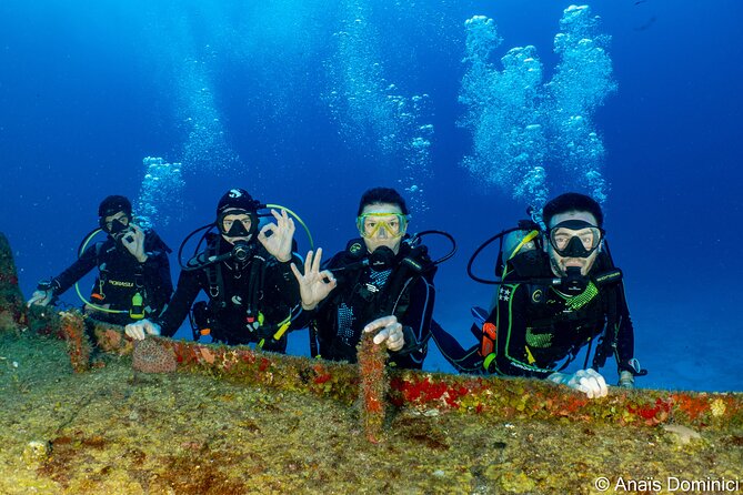 FunDiving in Cozumel - By Ferry - 2 Tanks in the wonderful Caribbean sea - What happens at Palancar Reef