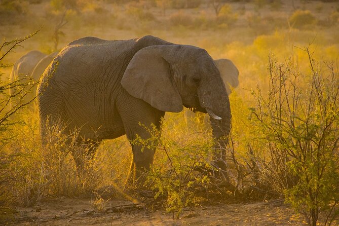 Gambia to Senegal Tour with Ferry Crossing and Safari Park - What the $148.72 price really covers
