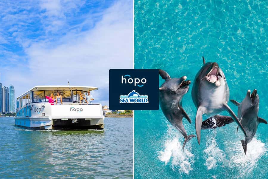 Gold Coast: Sea World Cruise & Entry Combo Ticket - Key points to know before you go
