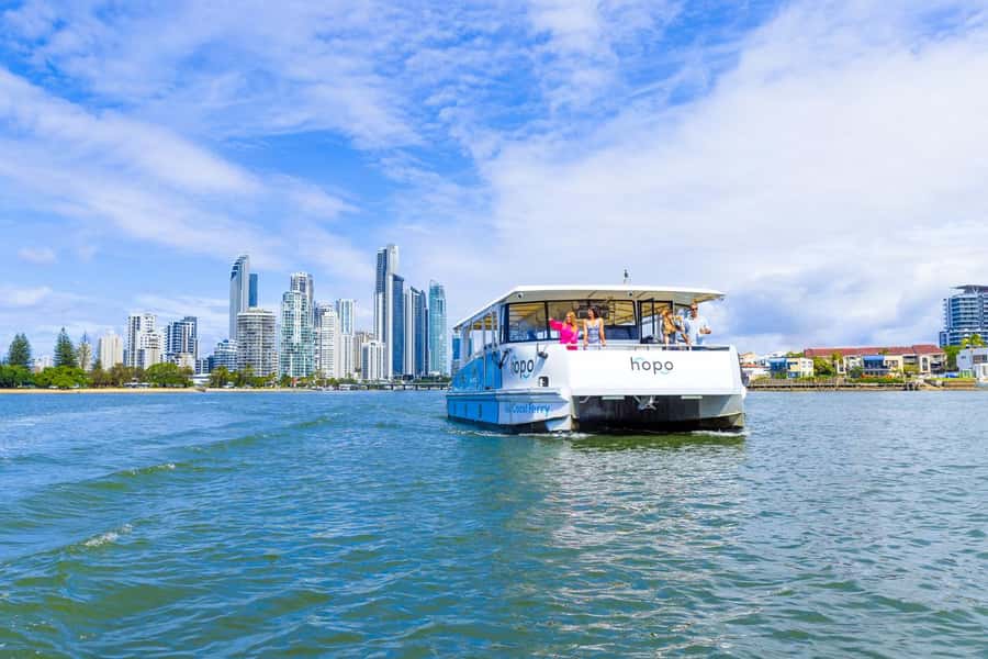 Gold Coast: Sea World Cruise & Entry Combo Ticket - Seven hours among Sea World’s marine attractions
