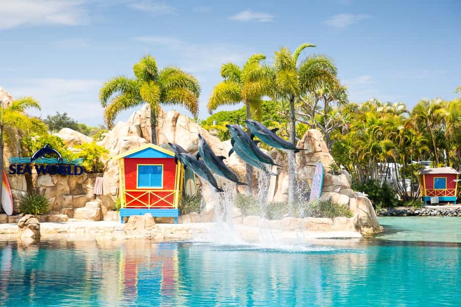 Gold Coast: Sea World Cruise & Entry Combo Ticket - Who will enjoy this package most