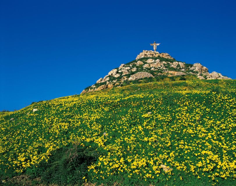 Gozo Day Pass Ferry and Hop-on Hop-off buses with audio Tour - Key points to know before you book