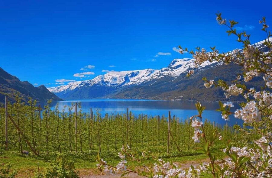 Guided tour: Hardangerfjord, Waterfalls and Ferry crossing - Fossen Bratte and an old Norwegian road