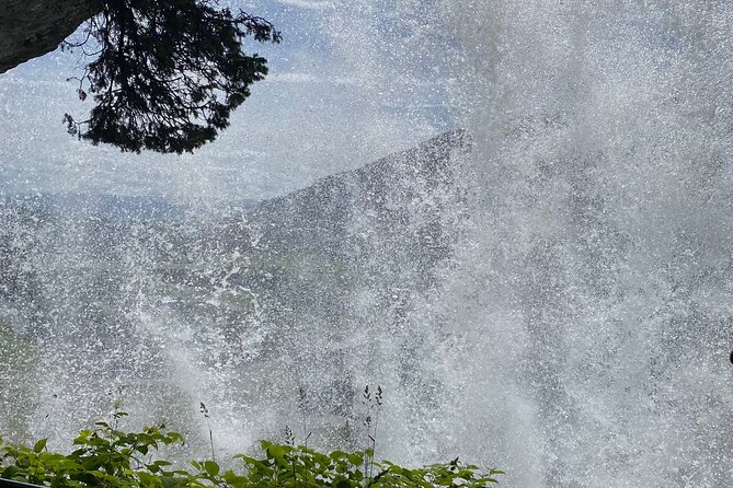 Guided tour to Hardanger Fjord, Waterfalls and Ferry Crossing - Road 550 follows orchards and the fjord