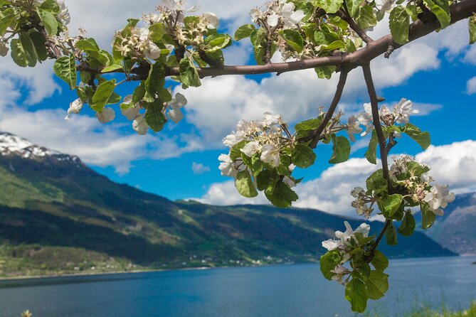 Guided tour to Hardanger Fjord, Waterfalls and Ferry Crossing - Herand is a useful pause before Jondal