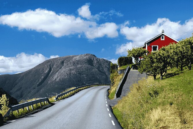 Guided tour to Hardangerfjord with Waterfalls and Ferry Crossing - Steinsdalsfossen delivers the day’s signature moment