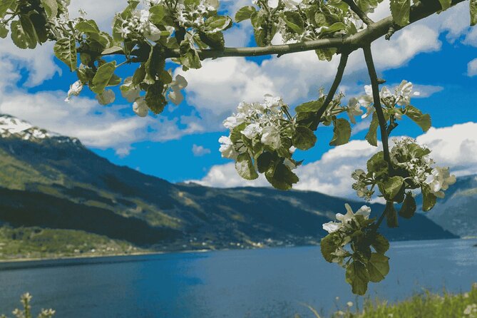 Guided tour to Hardangerfjord with Waterfalls and Ferry Crossing - Utne to Jondal is the most scenic road section