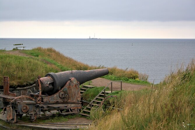 Helsinki & Suomenlinna: City Highlights Tour with Ferry Ride - Helsinki Cathedral and Senate Square’s clean lines