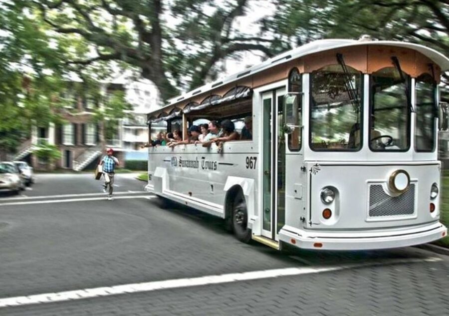 Hilton Head Island: Round-Trip Ferry Ticket to Savannah - A slow, scenic route through the intracoastal waterways
