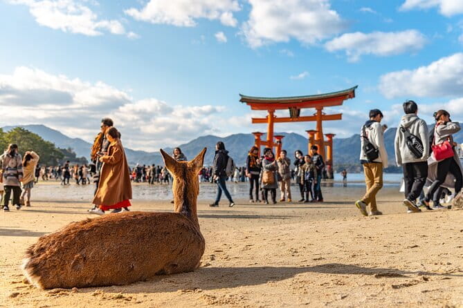 Hiroshima and Miyajima Day Trip with Itsukushima Shrine & Ferry - Key things to know before booking