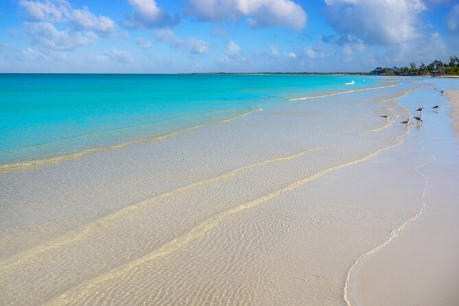 Holbox Tour with Ferry transportation and lunch included - How good is the value at $149?