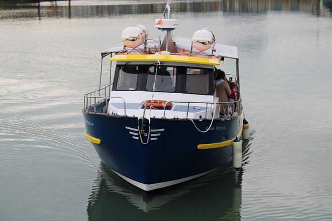 Howth Cliffs and Ireland's Eye Ferry Boat Tour - Why see Howth from the water?