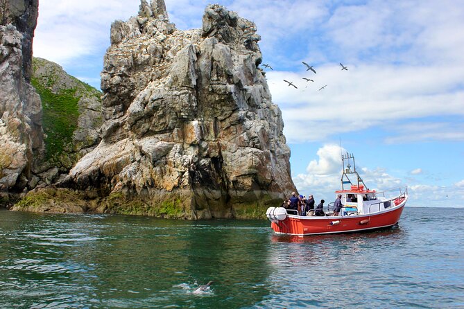 Howth Coastal Boat Tour (Ireland's Eye Ferries 50 mins trip) - Key points to know before you book
