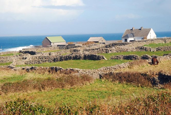 Inis Mór (Aran Islands) Day Trip: Return Ferry from Rossaveel, Galway - Key points to know before you book