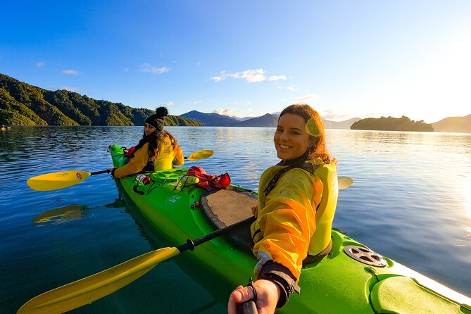 InterIslander Ferry - Picton to Wellington - Luggage, bicycles, pets, and vehicles