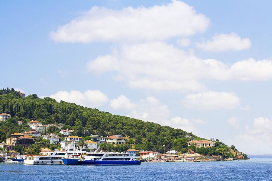Istanbul: Round-Trip Ferry Tickets to the Princes' Islands - Why Büyükada makes a good break