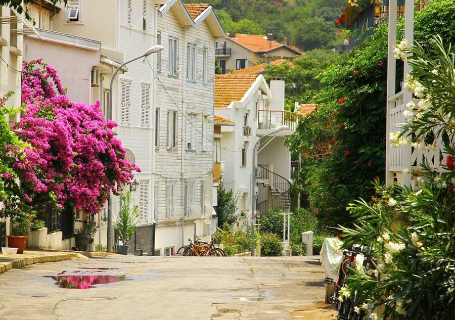 Istanbul: Round-Trip Ferry Tickets to the Princes' Islands - The return schedule is your real itinerary