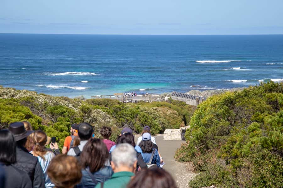 Kangaroo Island Full Day Experience by Ferry Including Lunch - Is this $267 day trip a good buy?