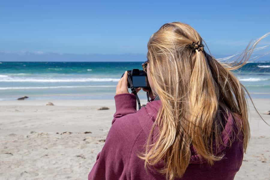 Kangaroo Island Full Day Experience by Ferry Including Lunch - Lunch in the Australian bush