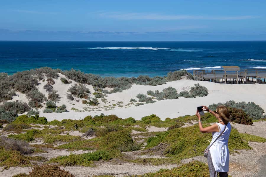 Kangaroo Island Full Day Experience by Ferry Including Lunch - Who should book this Kangaroo Island tour?