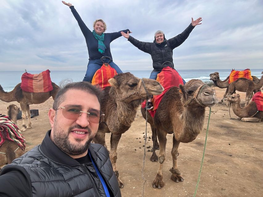 Malaga to Tangier: Exclusive Day Trip with Ferry Ticket - How much value does $510 offer?