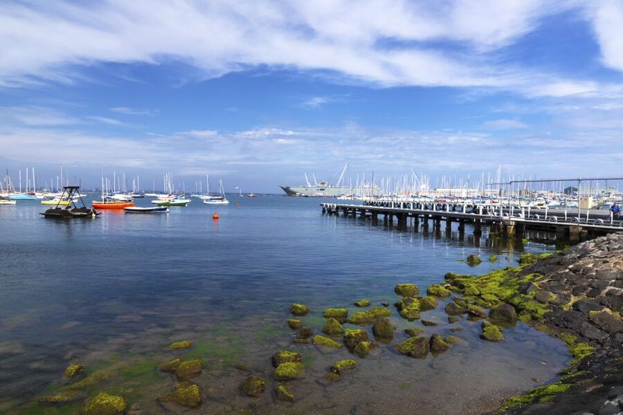 Melbourne: City and Williamstown Ferry Cruise - Practical tips for making the most of it