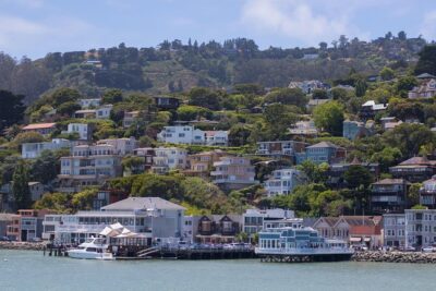 Muir Woods and Sausalito (Return by Bus or Ferry)