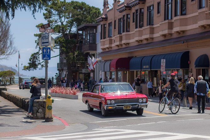 Muir Woods and Sausalito (Return by Bus or Ferry) - Who gets good value from the $91 price