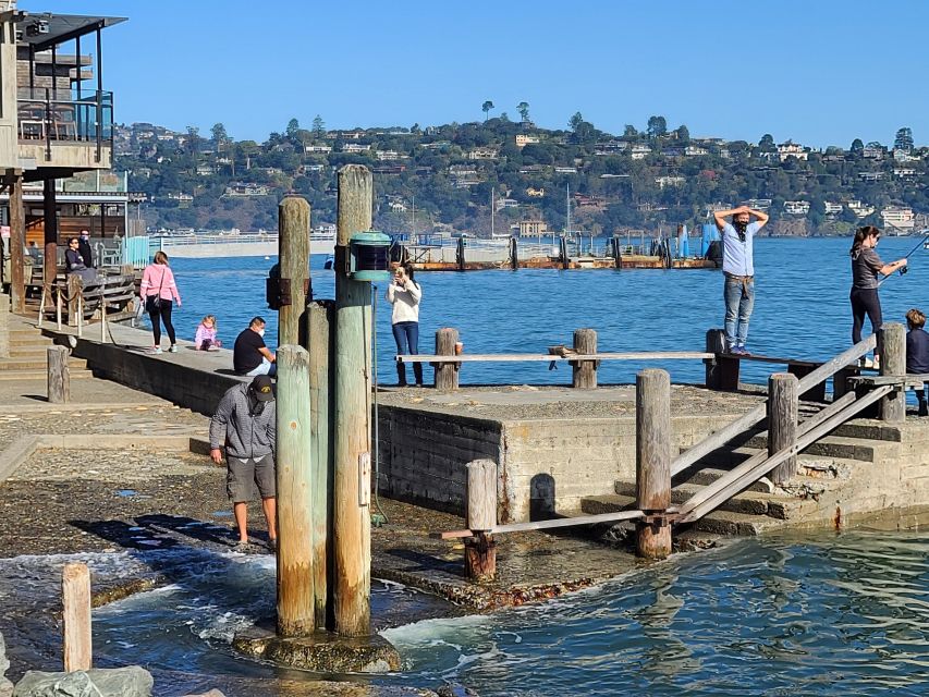 Muir Woods, Sausalito and Ferry back to Fisherman's Wharf - Ten minutes at the northern Golden Gate viewpoint