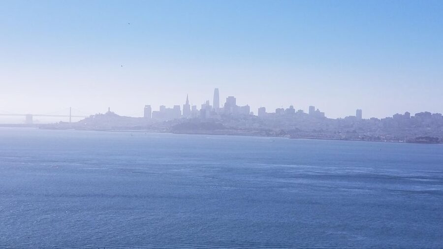 Muir Woods, Sausalito and Ferry back to Fisherman's Wharf - Returning by ferry to Pier 41