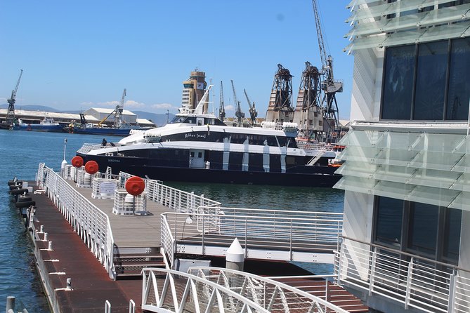 Nelson Mandela's Robben Island Prison Museum Cape Town City Tour + Ferry Tickets - District Six and the cost of forced removal