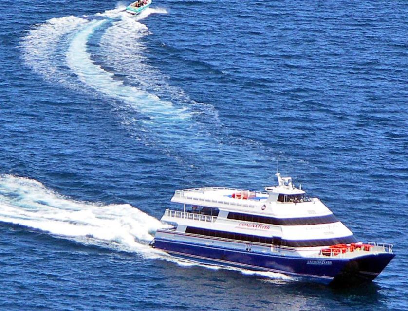 Newport Beach: Ferry Ticket to/from Catalina Island - Key points to know before boarding